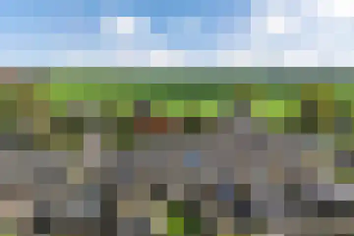 Tywert 24 Wommels thumbnail 48