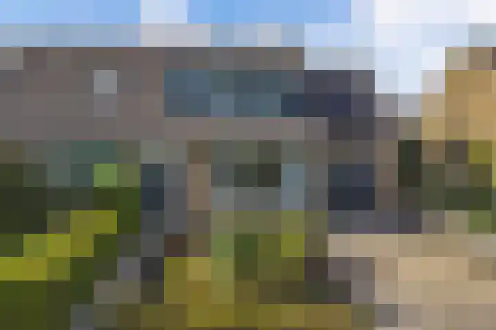 Tywert 24 Wommels thumbnail 49