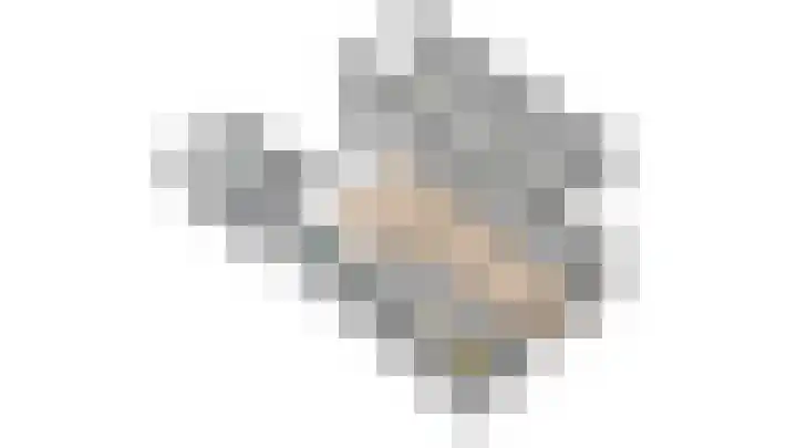 Tywert 24 Wommels thumbnail 52