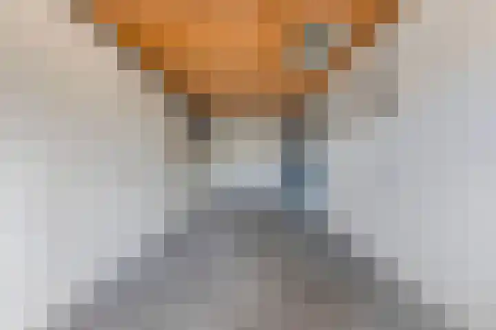 Tywert 24 Wommels thumbnail 6