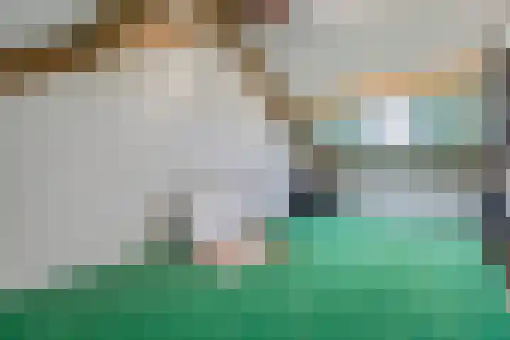 Tywert 24 Wommels thumbnail 7