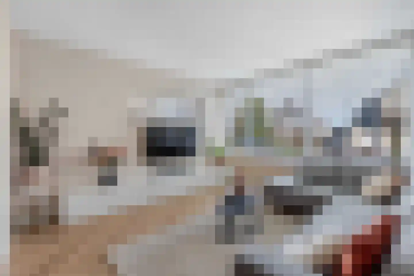 Tywert 6 Wommels thumbnail 10
