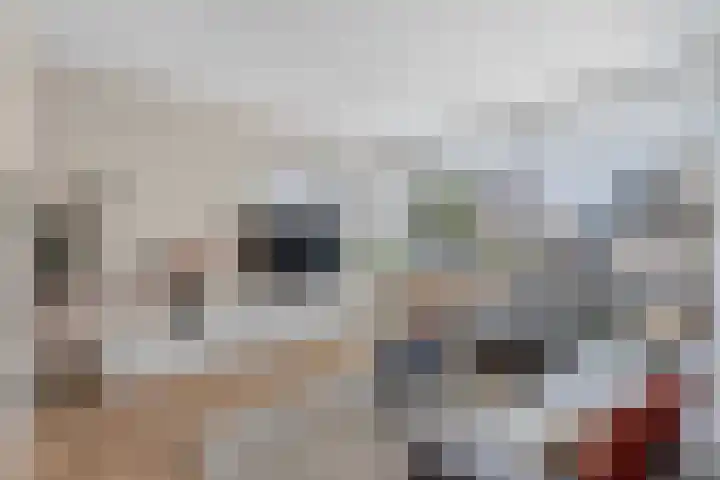 Tywert 6 Wommels thumbnail 10
