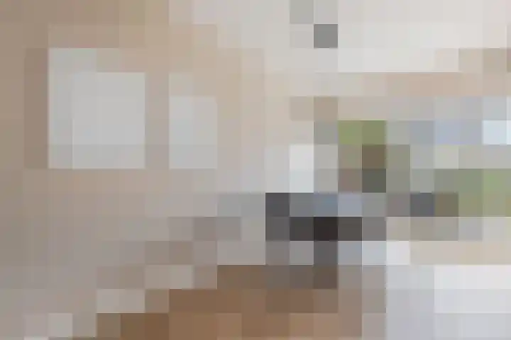Tywert 6 Wommels thumbnail 17
