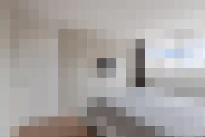 Tywert 6 Wommels thumbnail 25