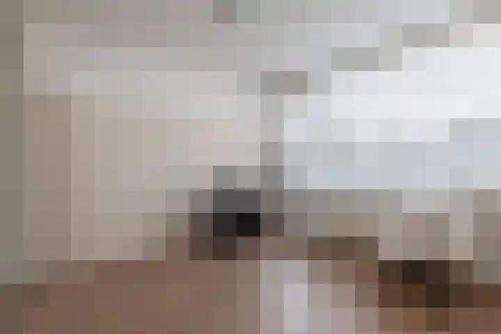 Tywert 6 Wommels thumbnail 26