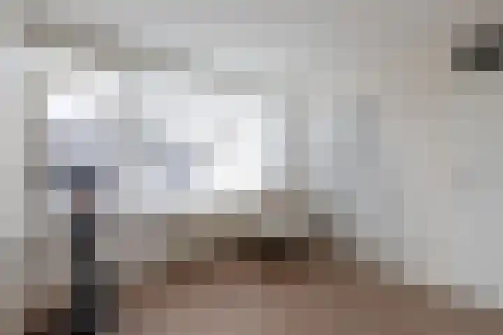 Tywert 6 Wommels thumbnail 27