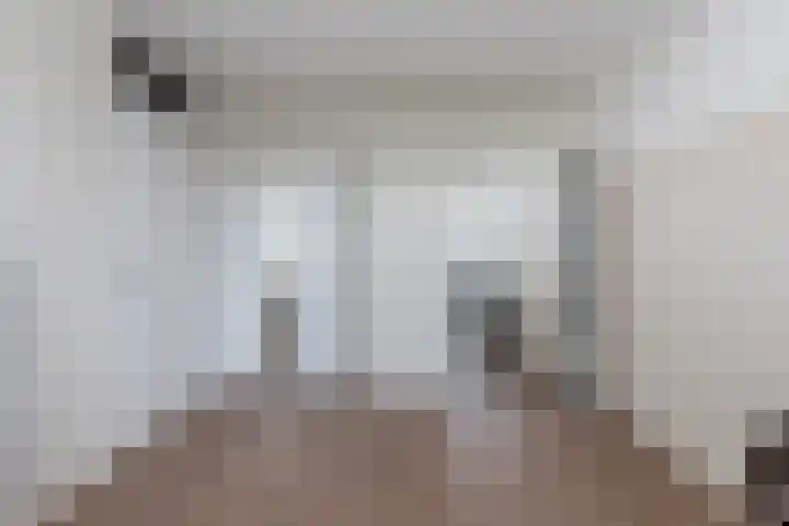 Tywert 6 Wommels thumbnail 28