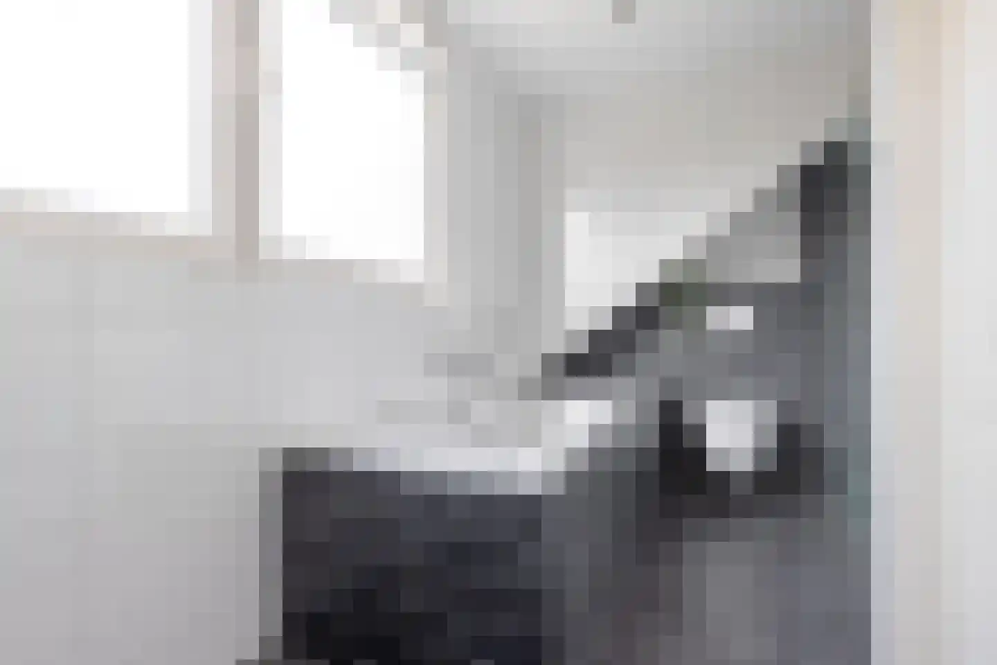 Tywert 6 Wommels thumbnail 32
