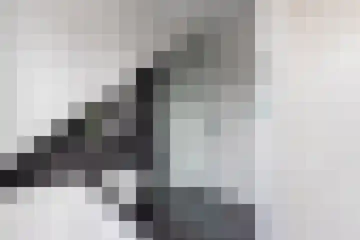 Tywert 6 Wommels thumbnail 33