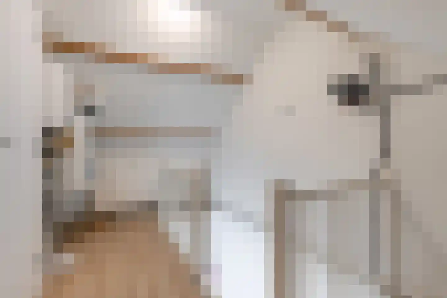 Tywert 6 Wommels thumbnail 36