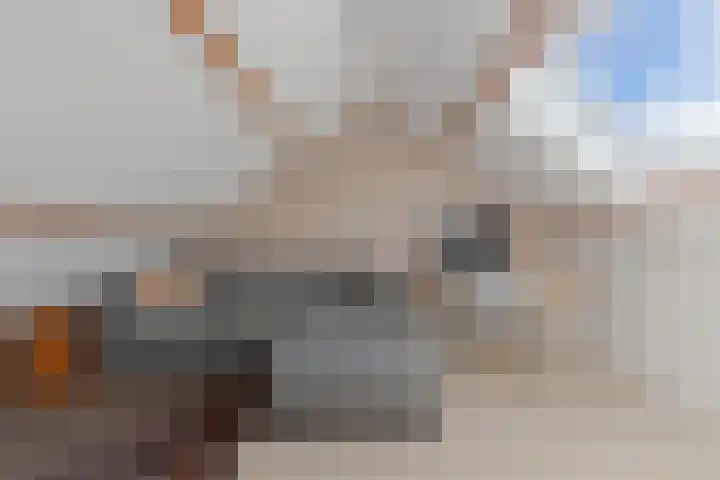 Tywert 6 Wommels thumbnail 37