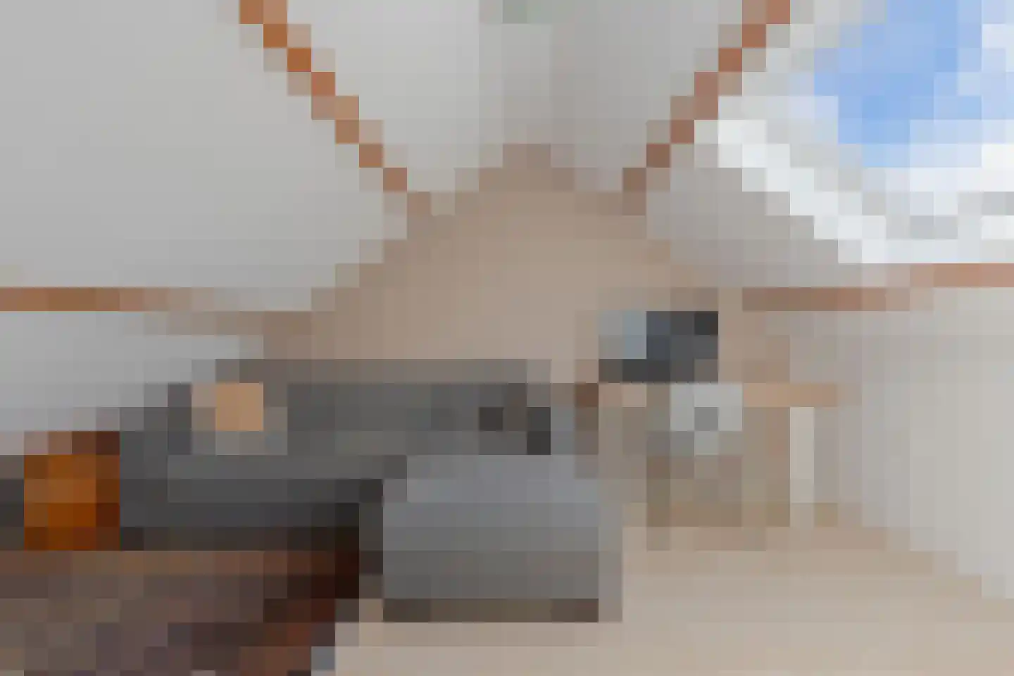 Tywert 6 Wommels thumbnail 37