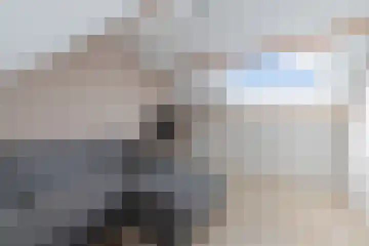 Tywert 6 Wommels thumbnail 38