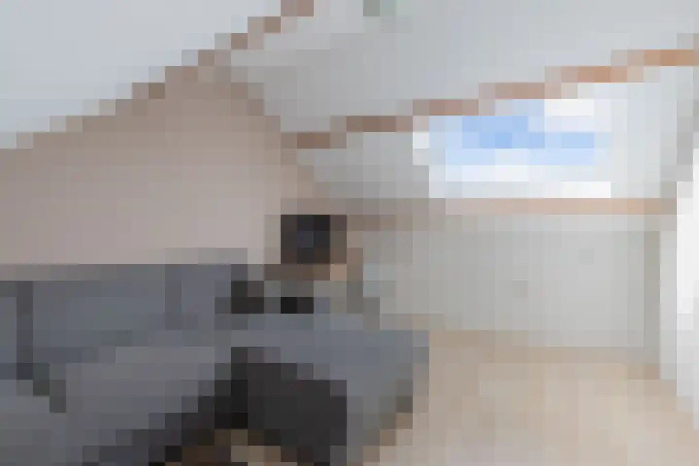 Tywert 6 Wommels thumbnail 38