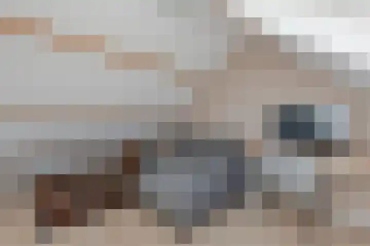 Tywert 6 Wommels thumbnail 39
