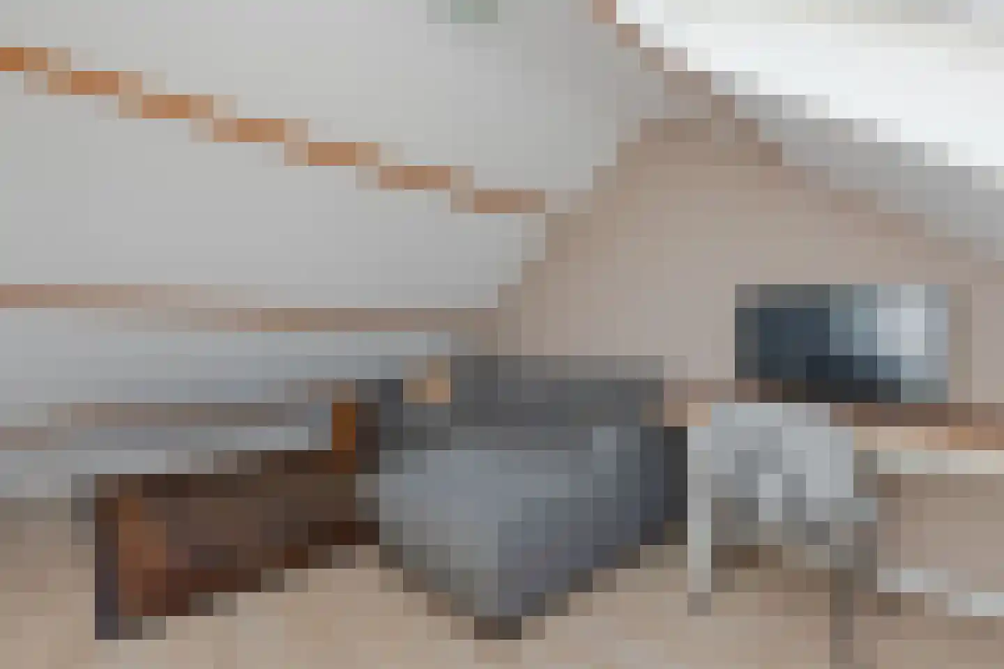 Tywert 6 Wommels thumbnail 39