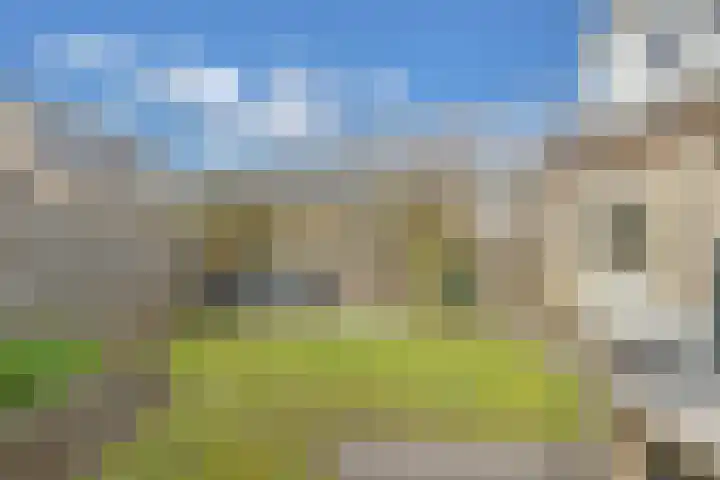 Tywert 6 Wommels thumbnail 4