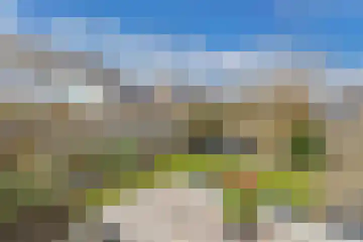 Tywert 6 Wommels thumbnail 41