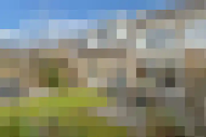 Tywert 6 Wommels thumbnail 42