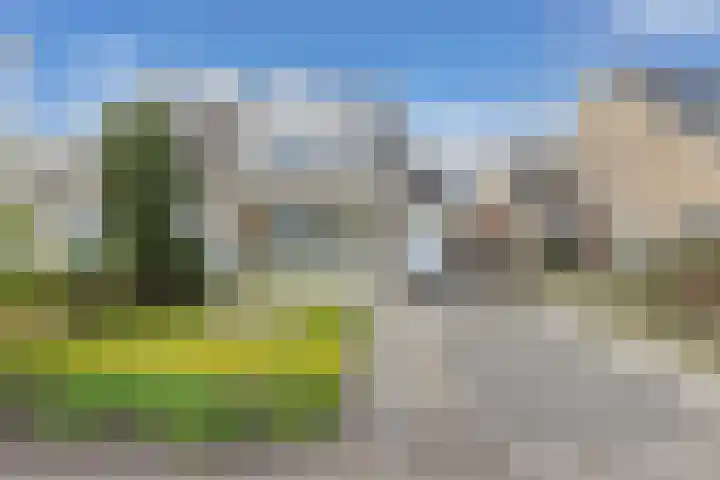 Tywert 6 Wommels thumbnail 50
