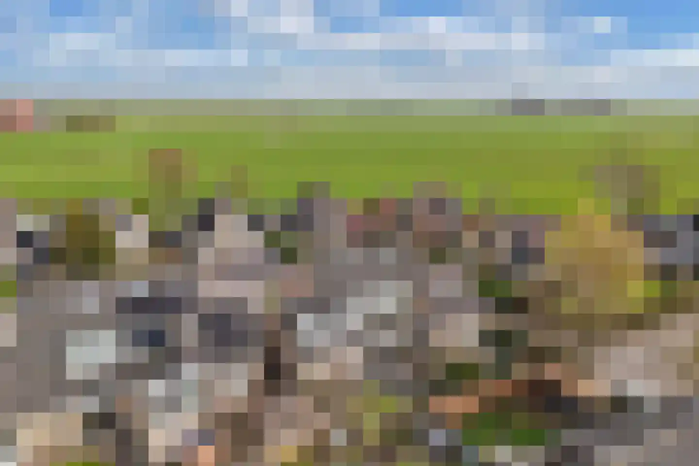 Tywert 6 Wommels thumbnail 51