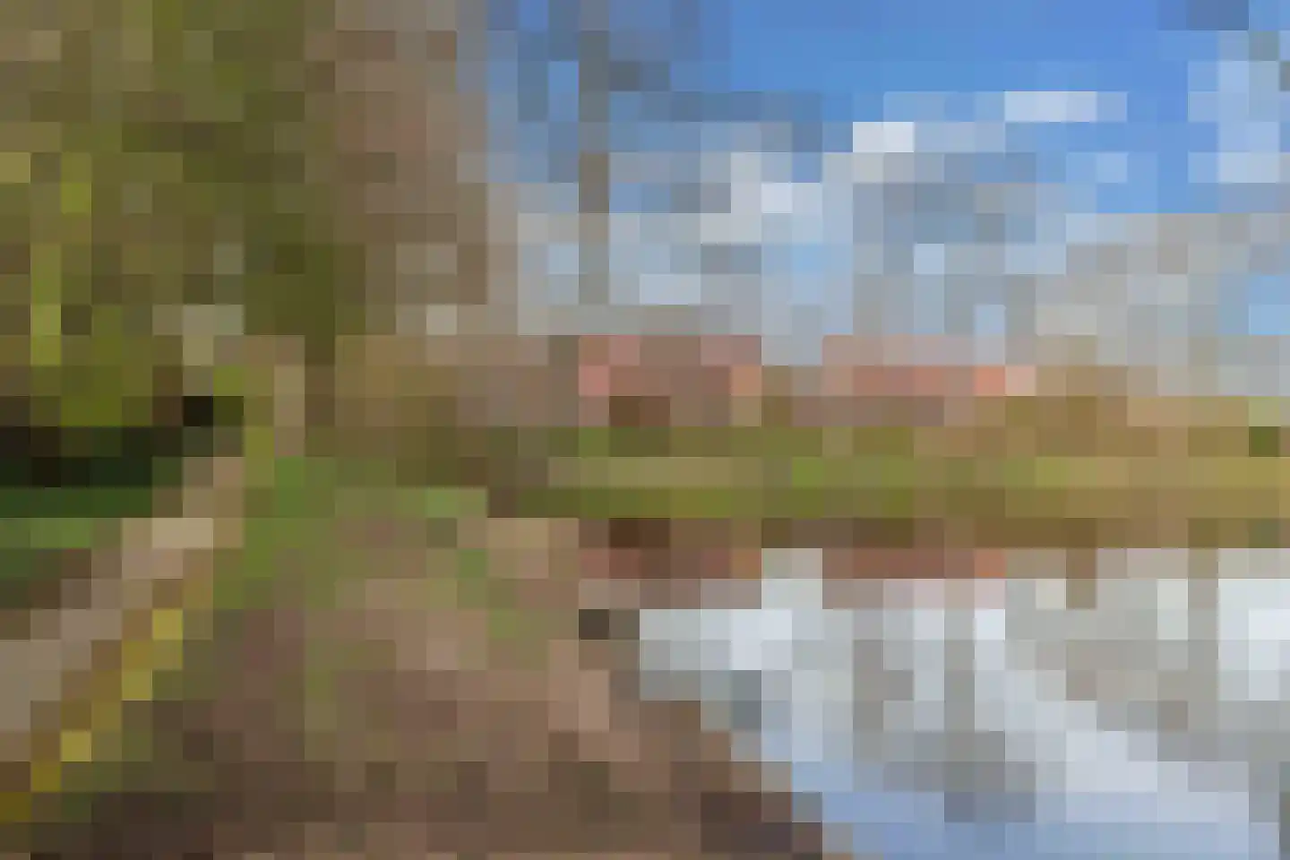 Tywert 6 Wommels thumbnail 53
