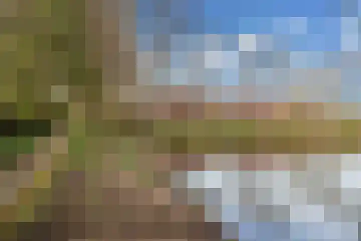 Tywert 6 Wommels thumbnail 53
