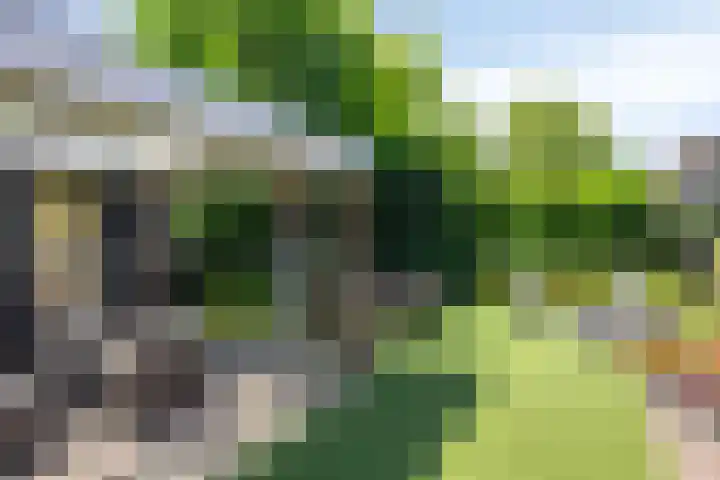 Tywert 6 Wommels thumbnail 6
