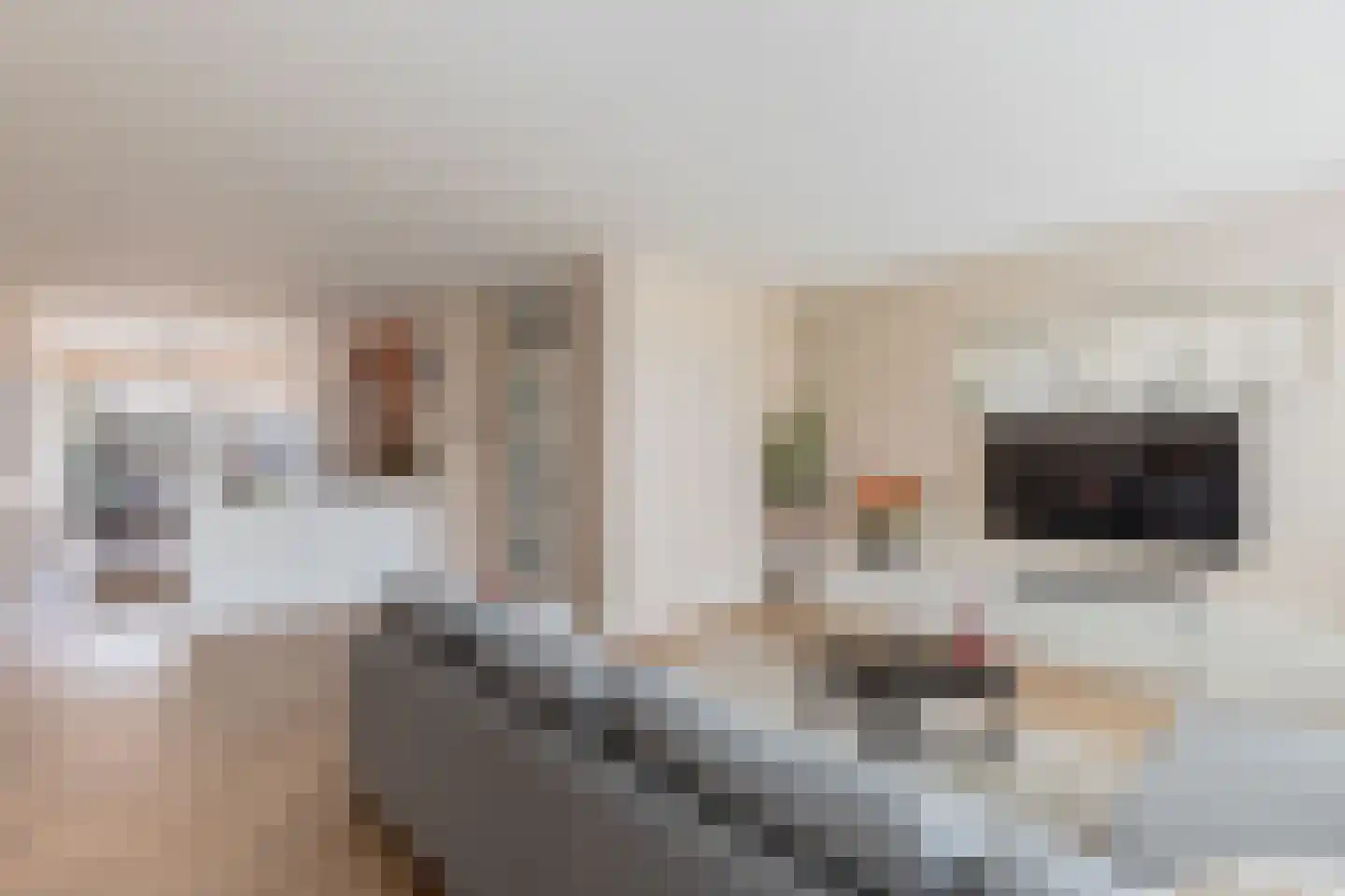 Tywert 6 Wommels thumbnail 7