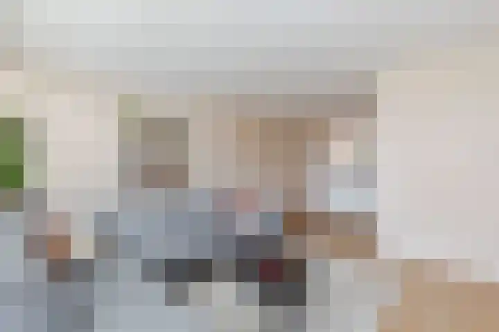 Tywert 6 Wommels thumbnail 9