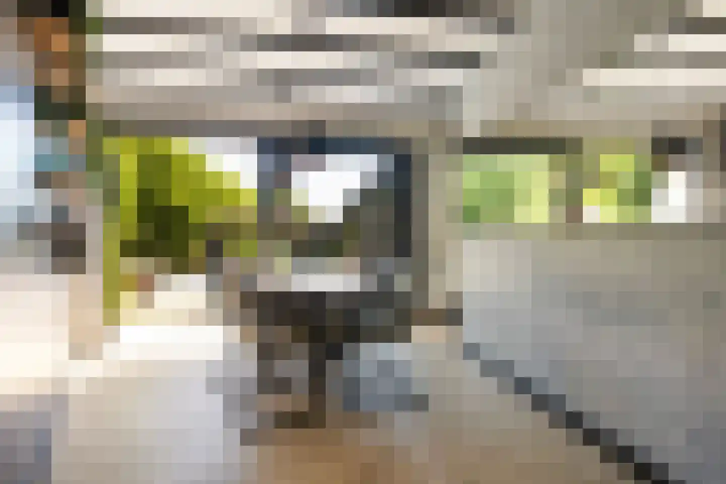 Tzummerweg 15 Franeker thumbnail 11