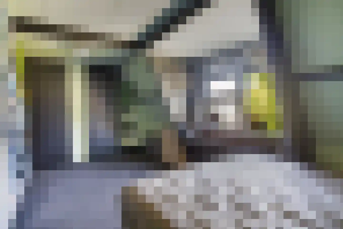 Tzummerweg 15 Franeker thumbnail 25