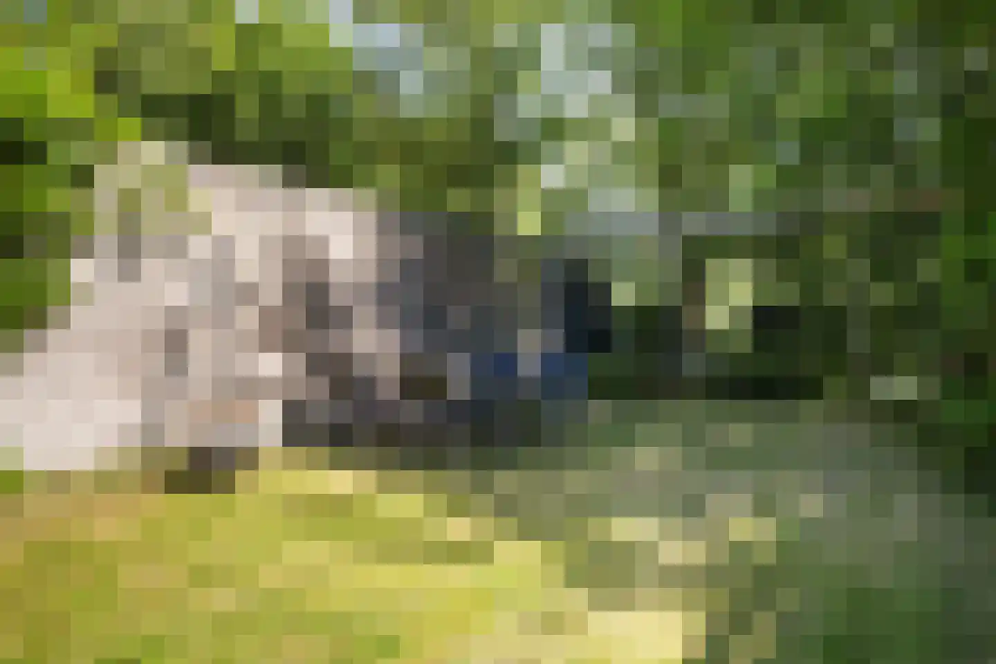 Tzummerweg 15 Franeker thumbnail 32