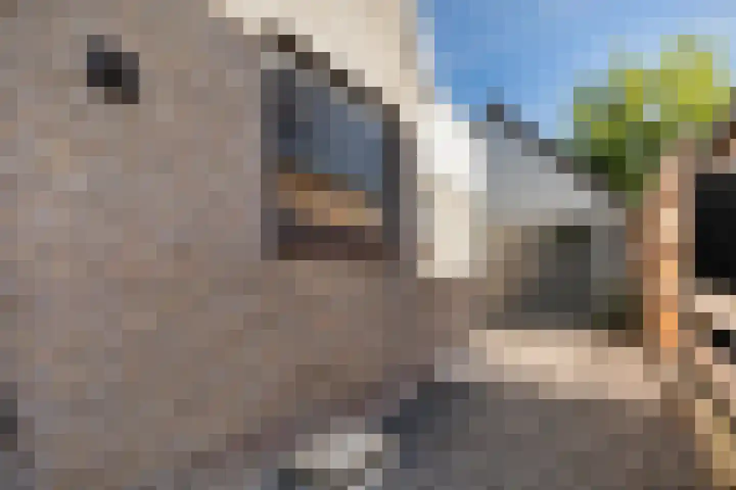 Tzummerweg 15 Franeker thumbnail 34