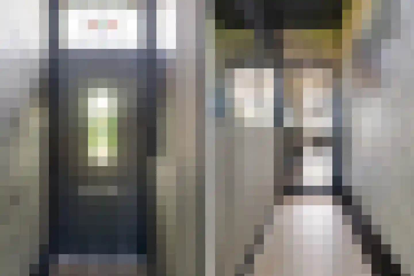Tzummerweg 15 Franeker thumbnail 4