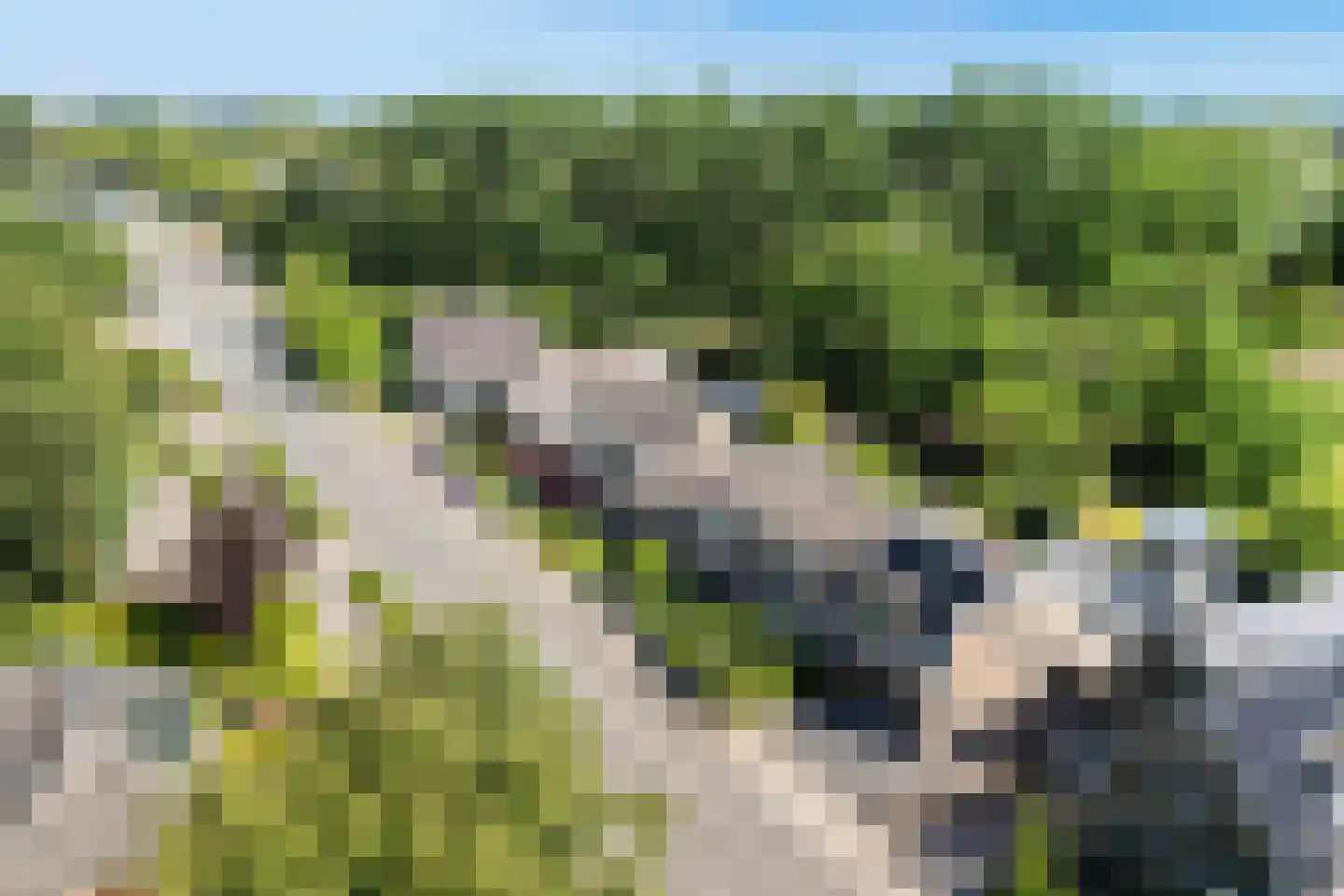 Tzummerweg 15 Franeker thumbnail 40