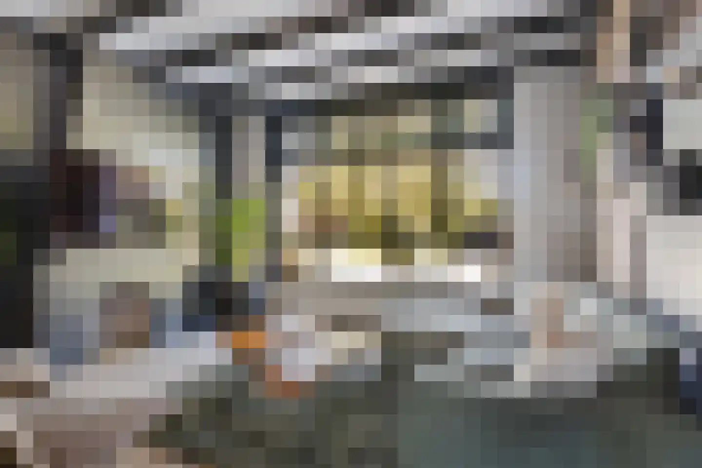 Tzummerweg 15 Franeker thumbnail 5