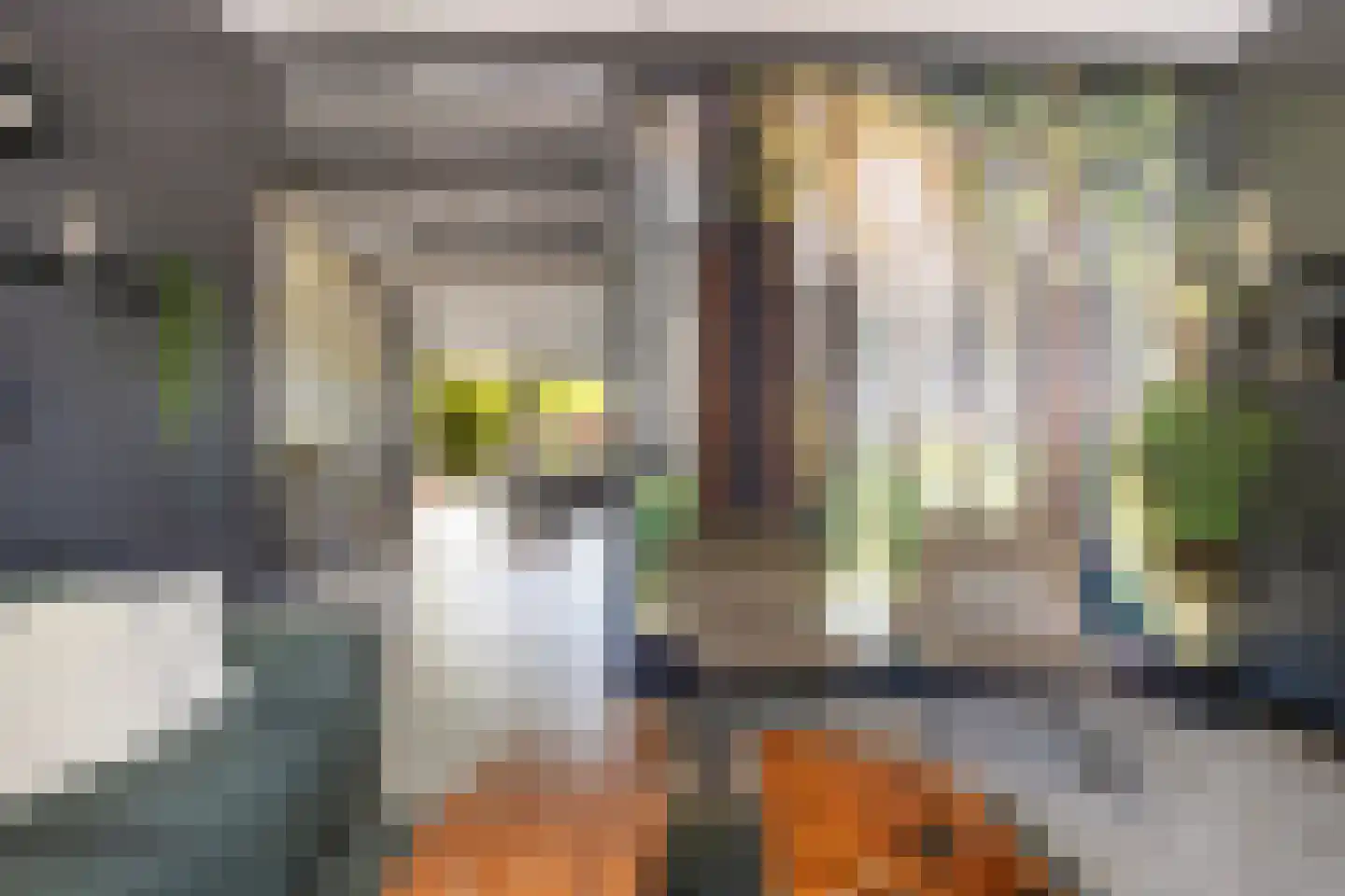 Tzummerweg 15 Franeker thumbnail 7