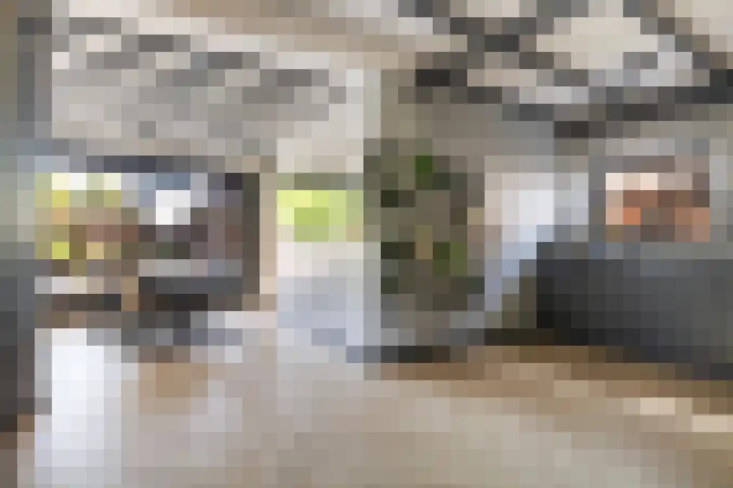 Tzummerweg 15 Franeker thumbnail 8