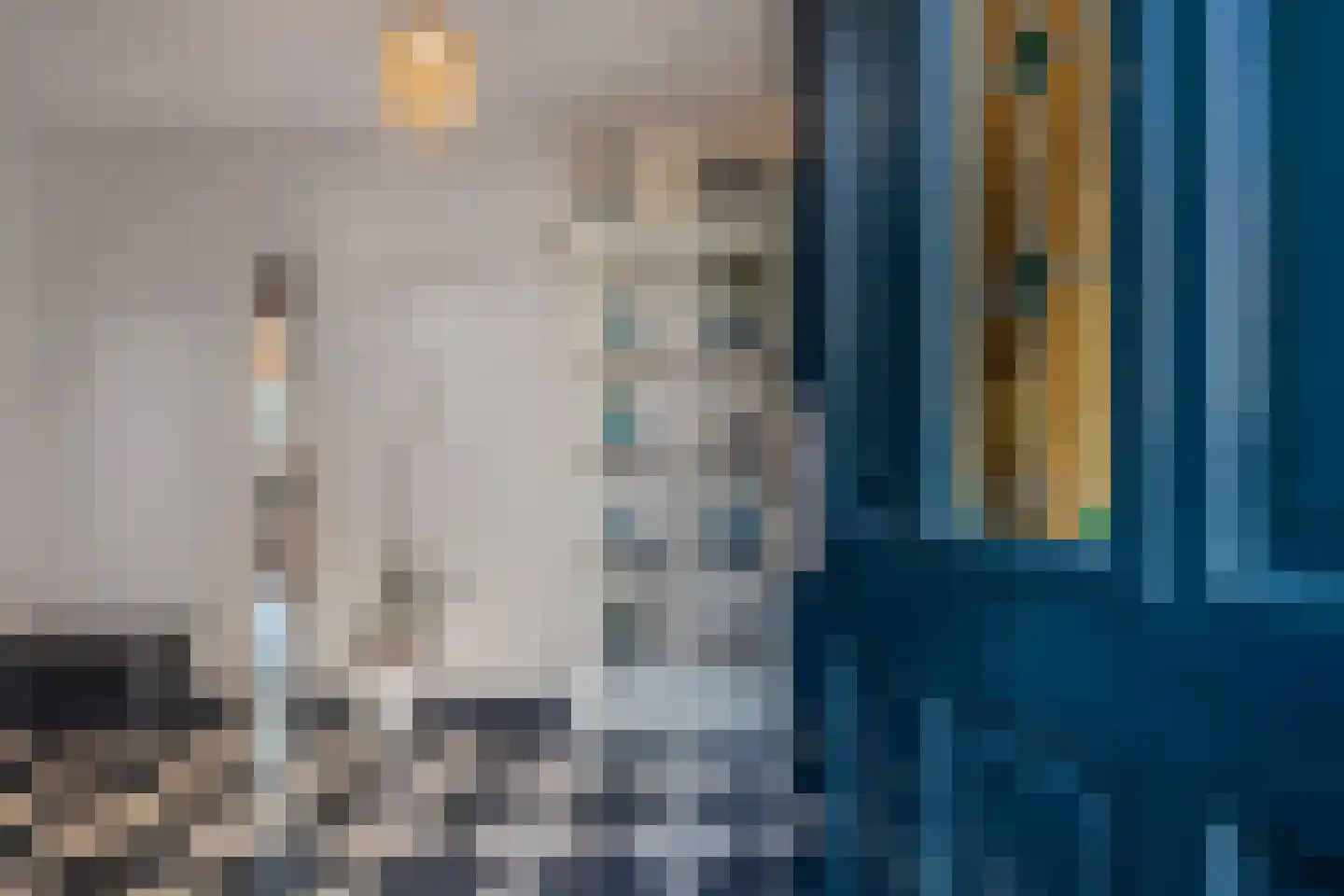 Tzummerweg 18 Franeker thumbnail 10