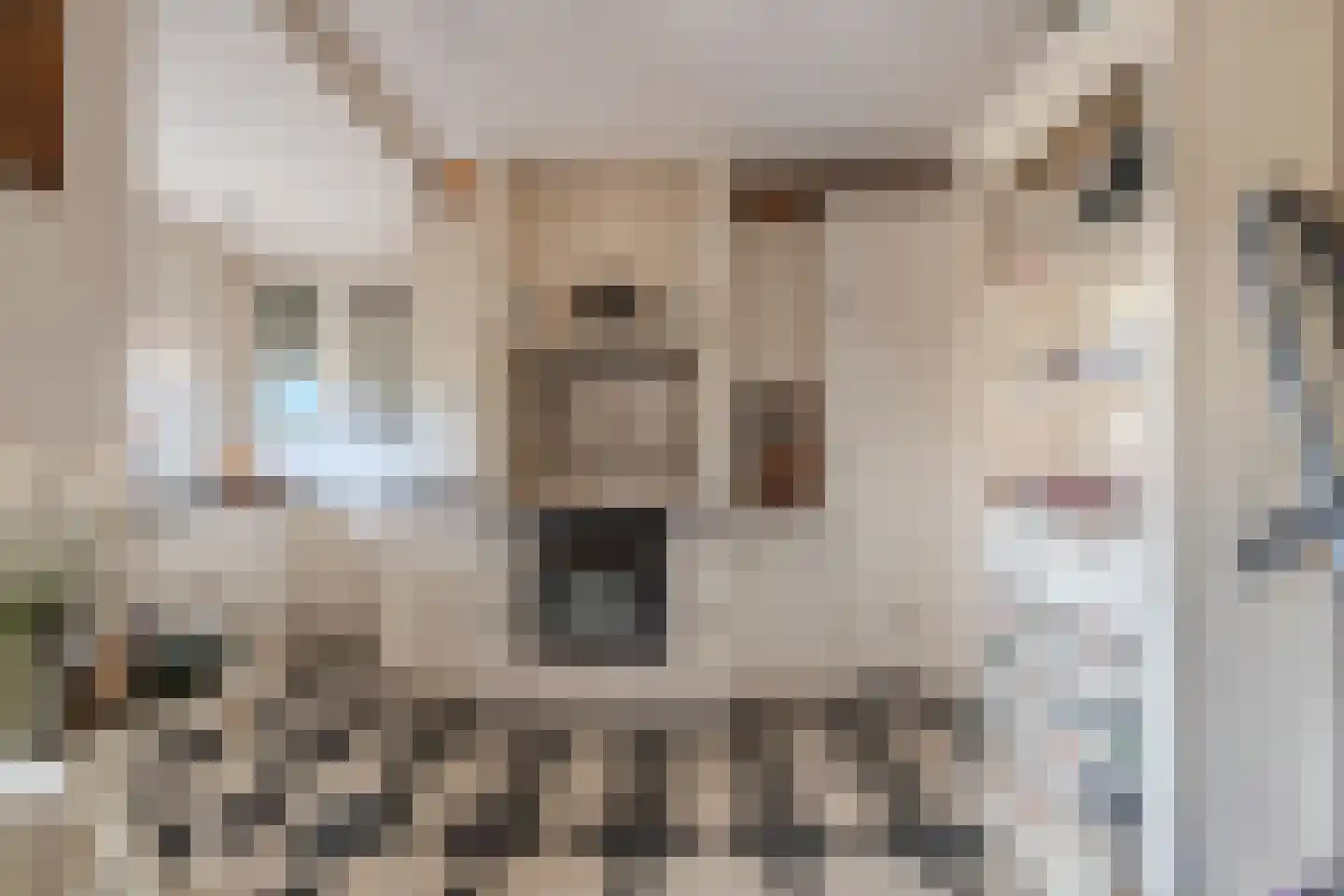 Tzummerweg 18 Franeker thumbnail 29