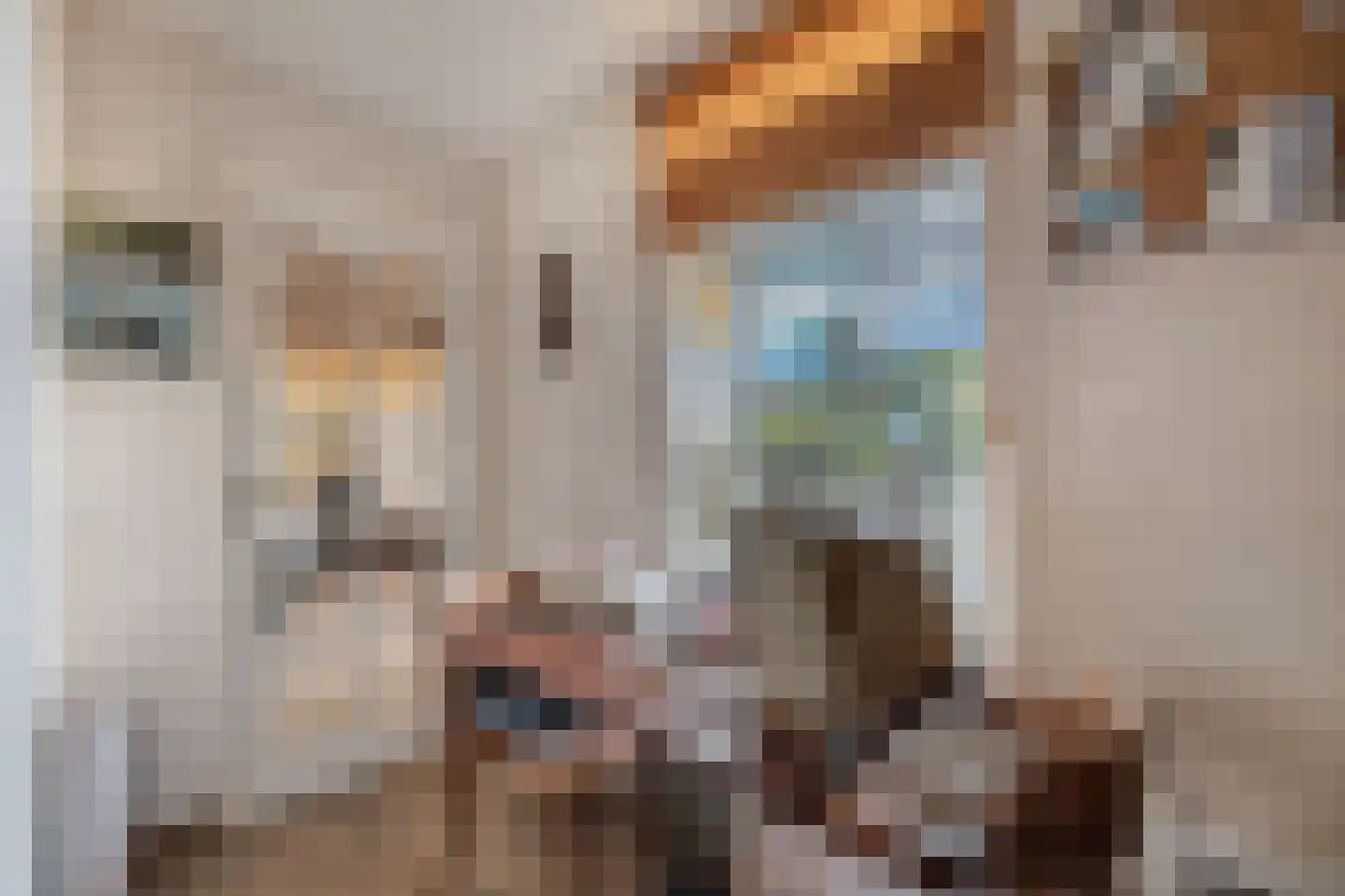 Tzummerweg 18 Franeker thumbnail 34