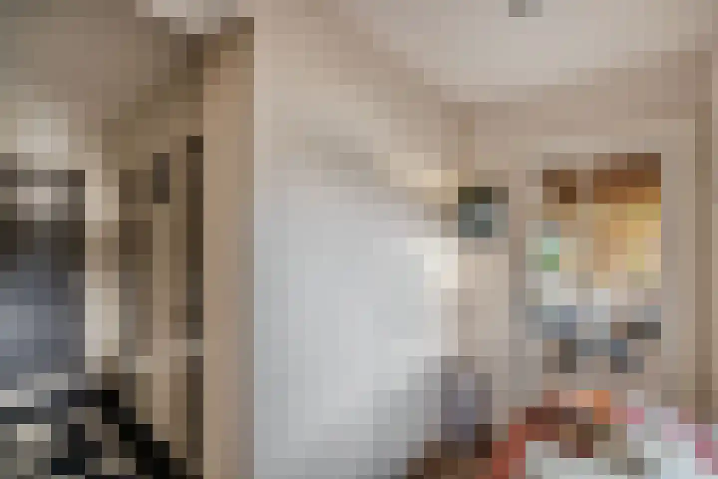 Tzummerweg 18 Franeker thumbnail 35