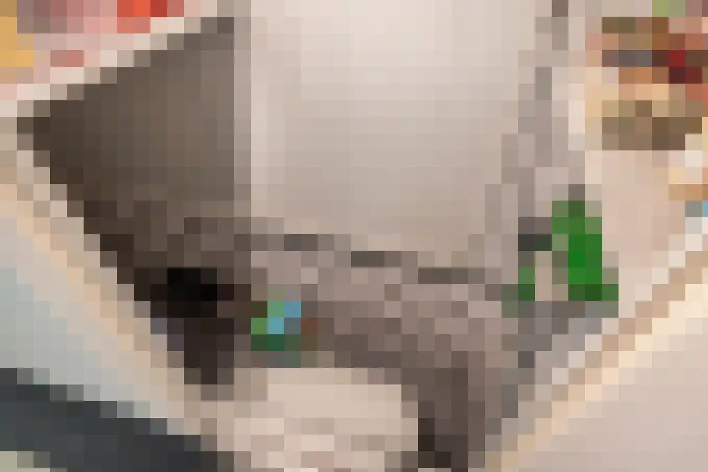 Tzummerweg 18 Franeker thumbnail 36