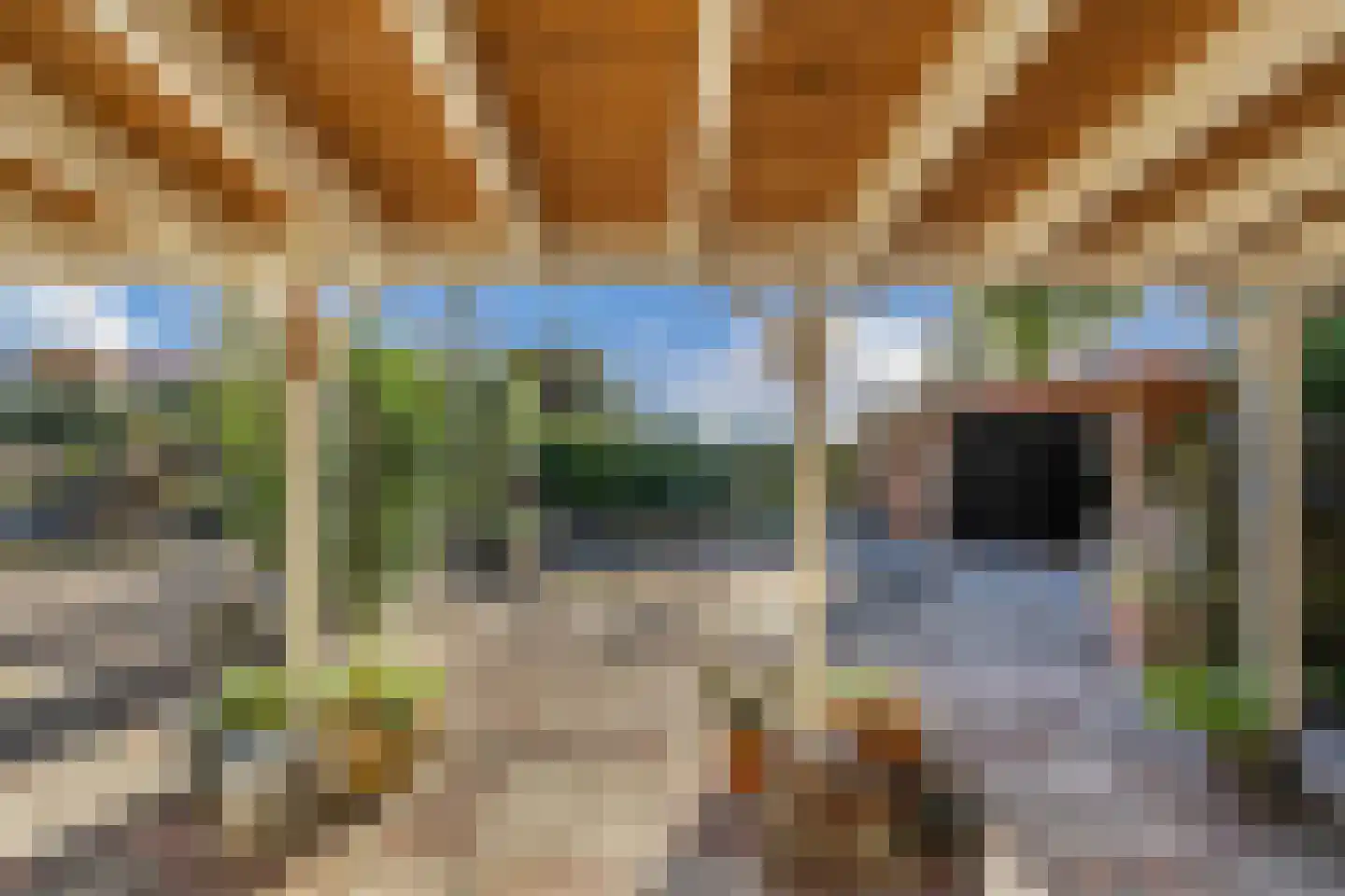 Tzummerweg 18 Franeker thumbnail 56