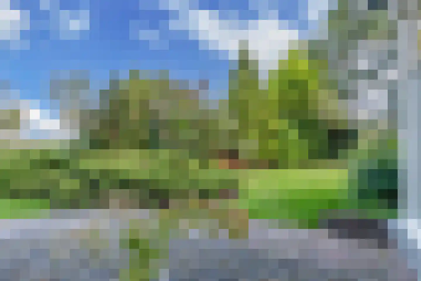 Tzummerweg 18 Franeker thumbnail 61