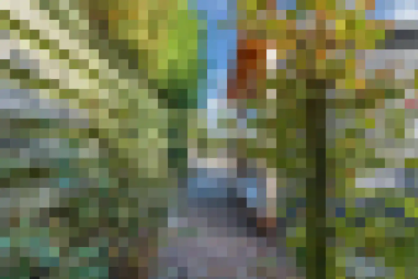 Tzummerweg 18 Franeker thumbnail 81