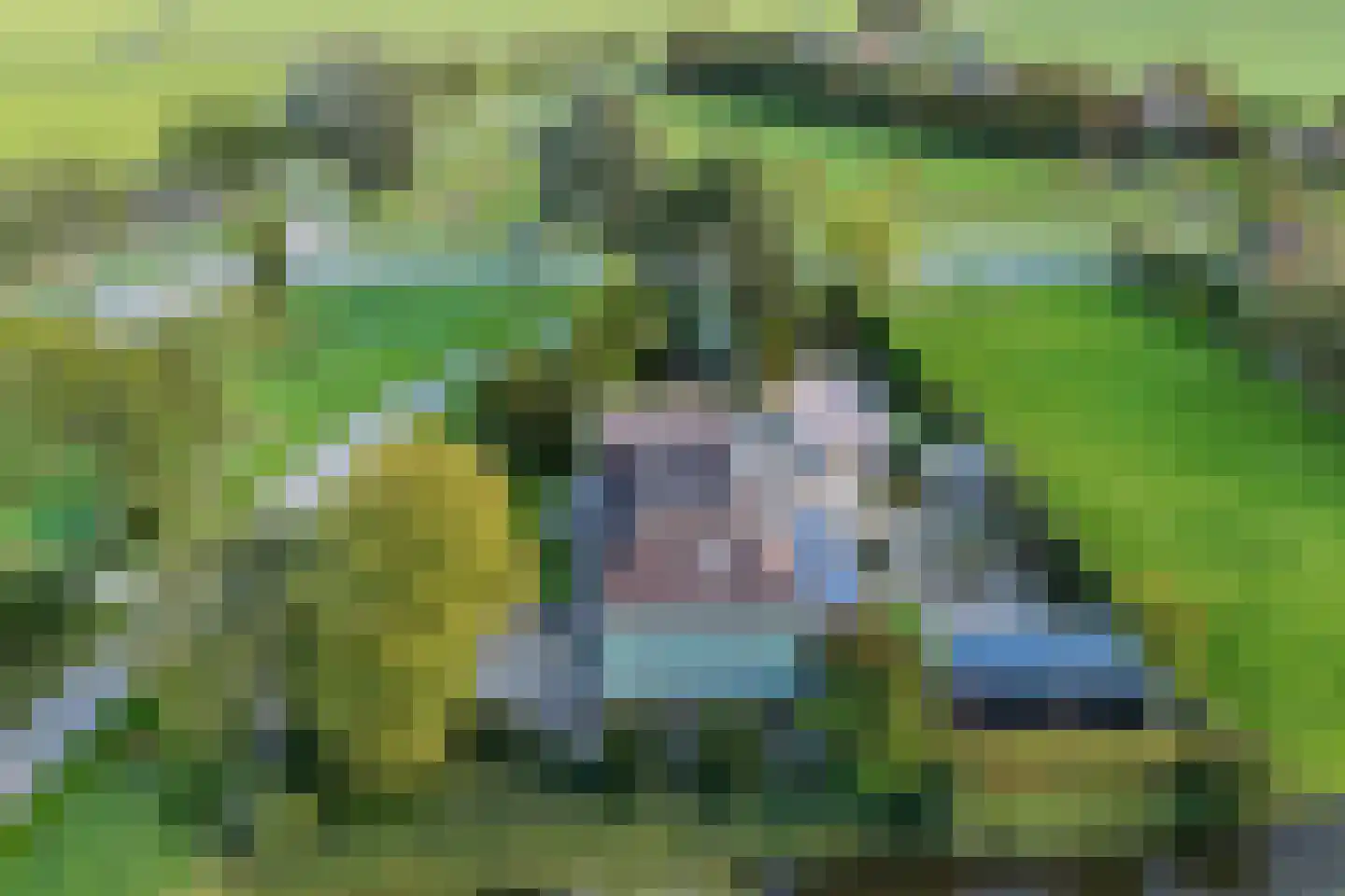 Tzummerweg 18 Franeker thumbnail 86