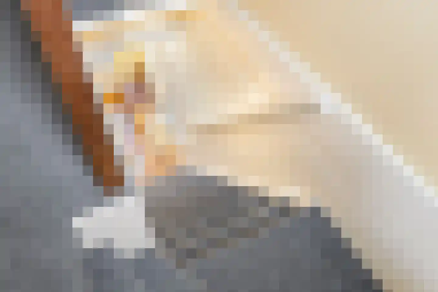 U.T. Delfiaweg 12 Groningen thumbnail 19